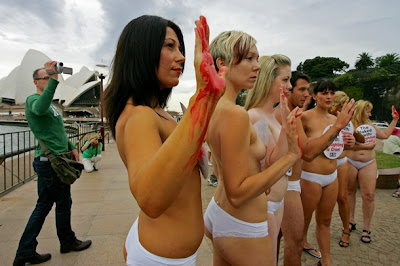 peta005 peta005 PELADAS EM SYDNEY peta005