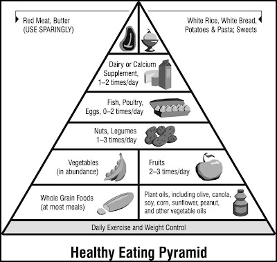 Food Pyramid Essay