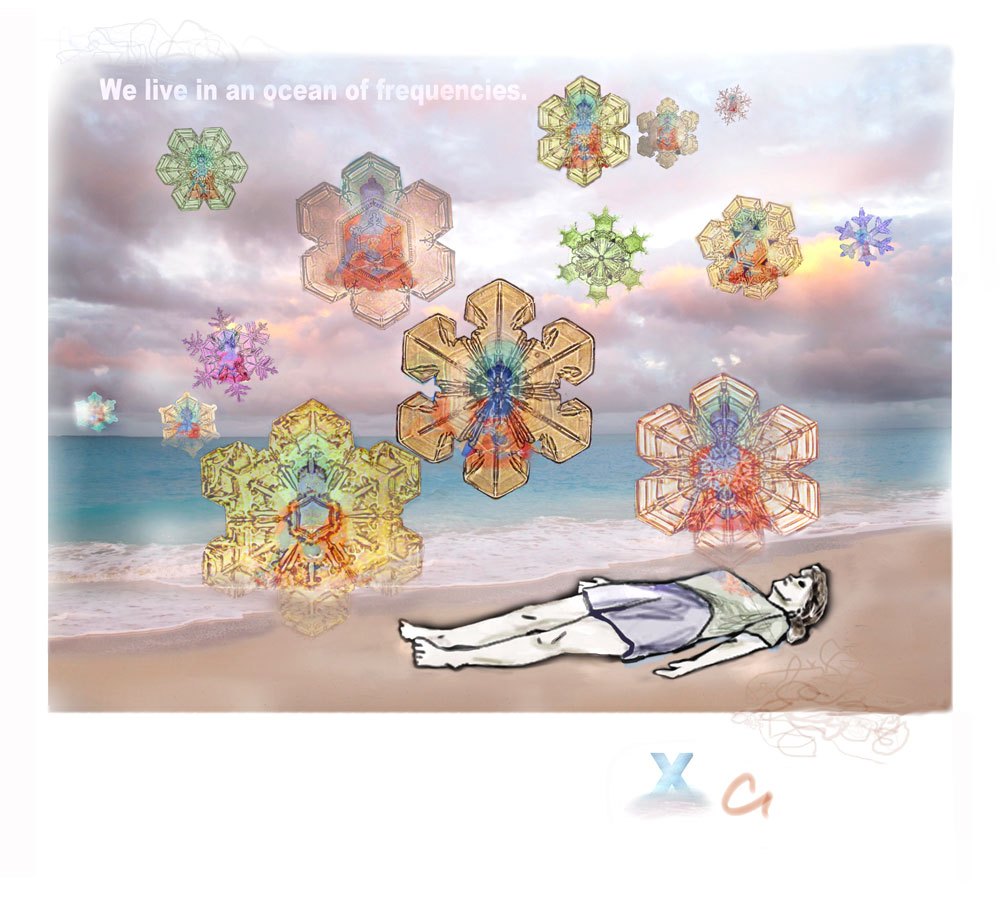 [OCEAN-FREQUENCY-resize.jpg]