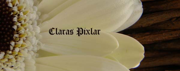 Claras Pixlar