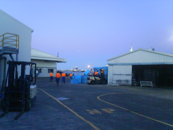 Fish Factory - Tauranga - Nueva Zelanda
