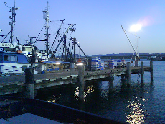 Fish Factory - Nueva Zelanda
