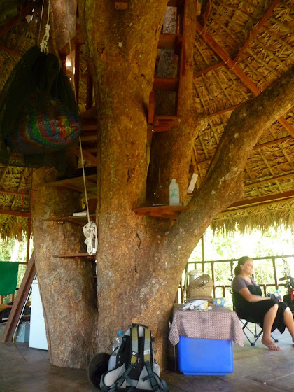 Otra foto dentro de la casa de árbol