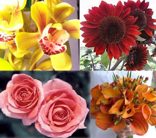 Types Of Flowers : Identifying Different Types of Flowers