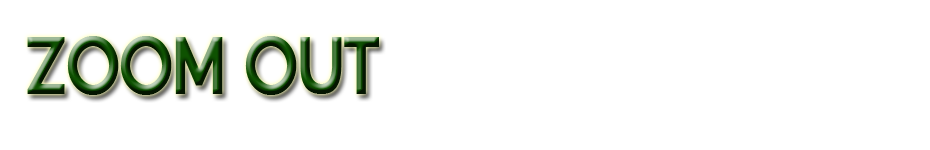 ZOOM OUT