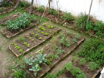Jardinería&Paisajismo: Cultivando hierbas en el jardín