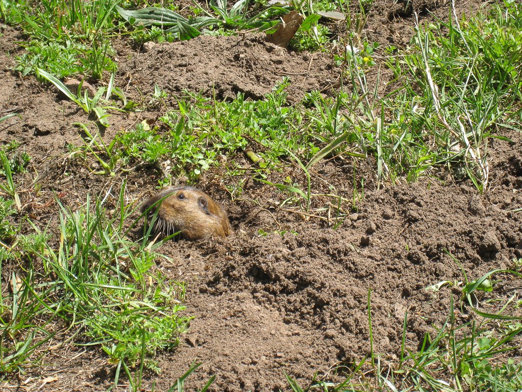 [20090510-IMG_4115.jpg]