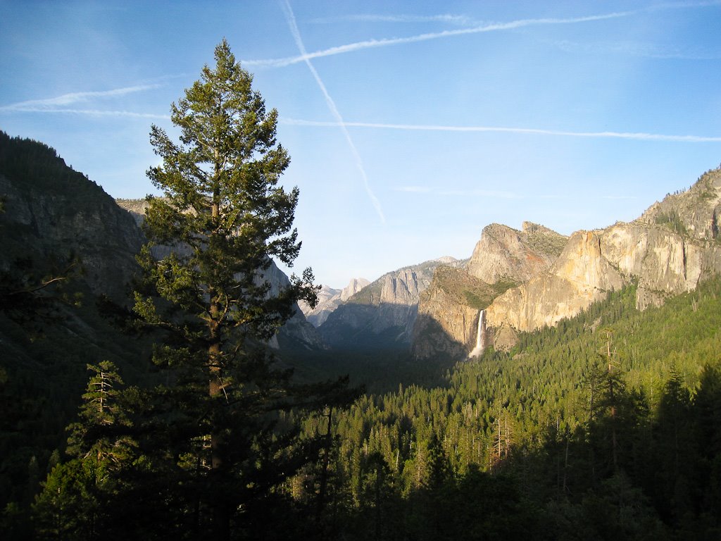 [20090512-IMG_4345-Edit.jpg]