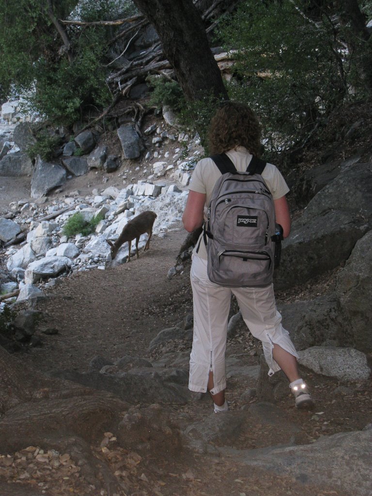 [20090513-IMG_4470.jpg]