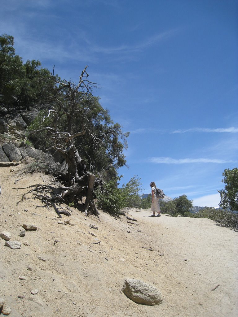 [20090513-IMG_4392.jpg]