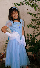 Cinderella Costume