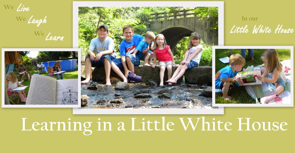 Learning in a Little White House