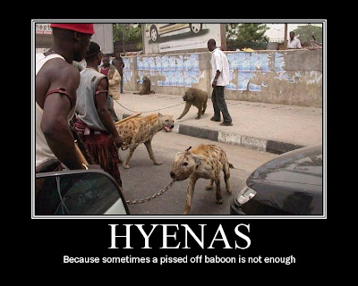 Hyenas Pet