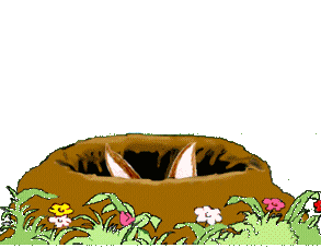 gifs-animados-conejos.gif