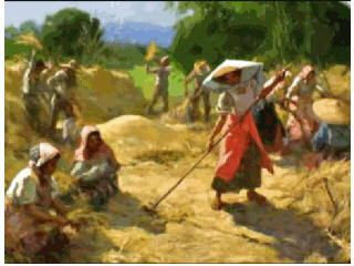 poem of planting rice Rice production in italy started around the middle of the 15th century today, japonica rice varieties are planted under irrigated conditions in large and highly mechanized farms the artist giovanni pascoli composed a poem about a rice dish. poem of planting rice Rice production in italy started around the middle of the 15th century today, japonica rice varieties are planted under irrigated conditions in large and highly mechanized farms the artist giovanni pascoli composed a poem about a rice dish.