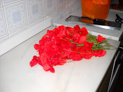 ESCORPIO  -AMAPOLAS-