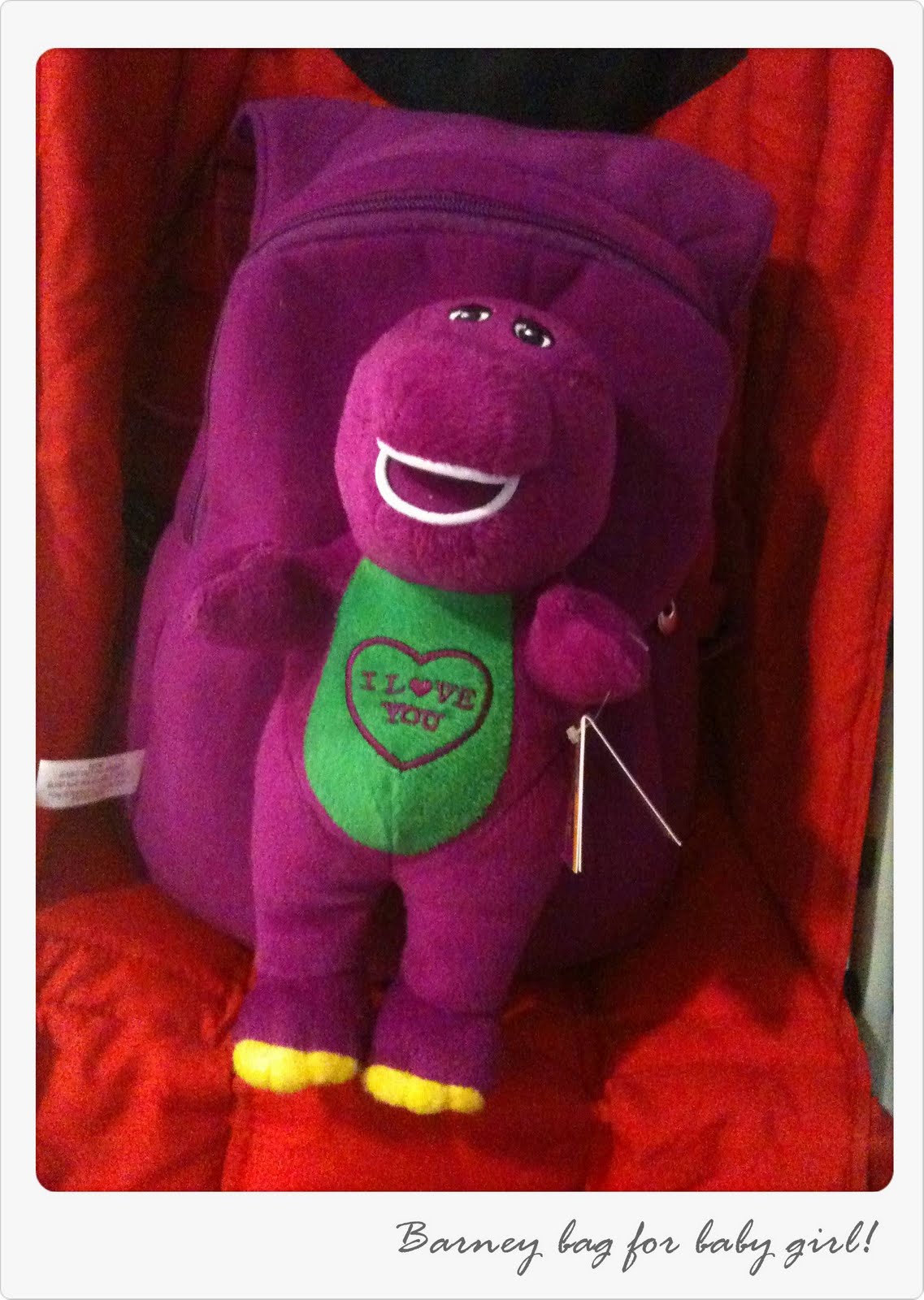Barney Bag