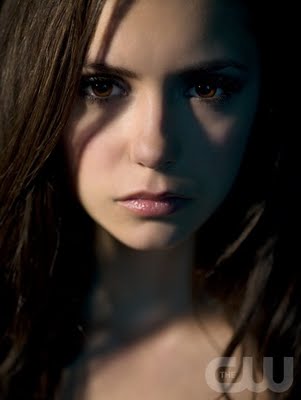 vampire diaries stefan vampire diaries stefan