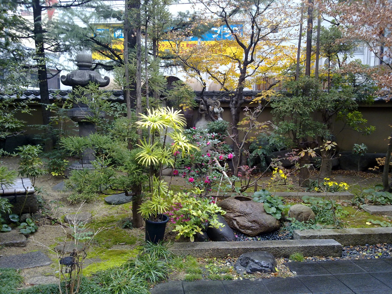 Beautiful Tiny Gardens