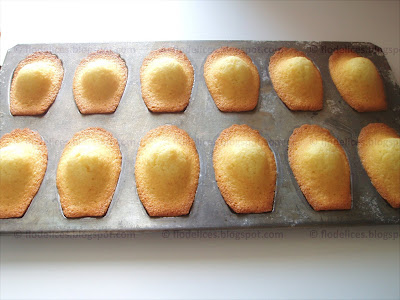 Madeleines à la sortie du four Madeleines à la sortie du four