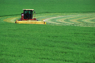 Production of climate-resistant crops