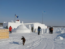 Canada in winter