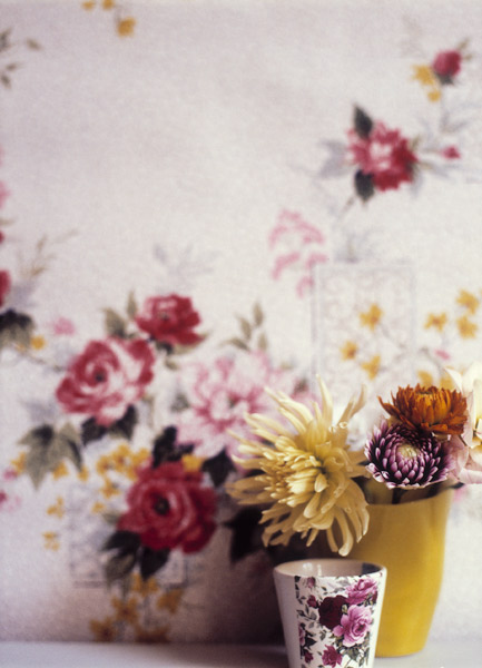 [afc01ad9952c673208b04de60929d04a_Red-small-flower-vases.jpg]