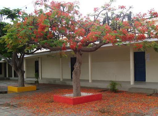 ESCOLA  DR PACIFICO RODRIGUES DA LUZ