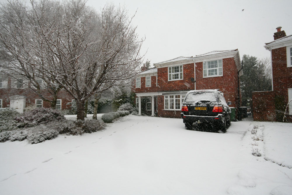 [jan+10+snow.jpg]