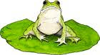 Fabulous Frog Stories and More
