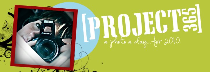 Project 365