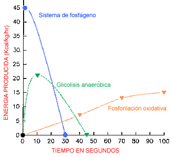 [energia.gif]
