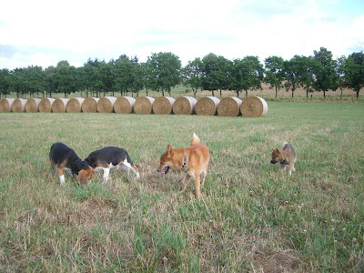 rencontre avec des fees