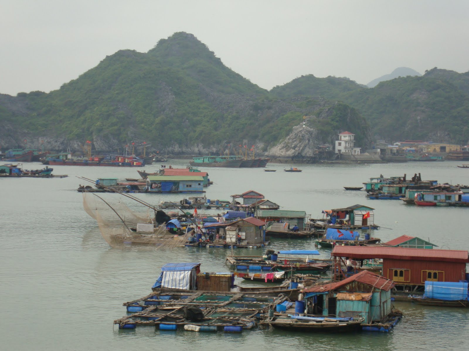 [DSC00879.JPG]