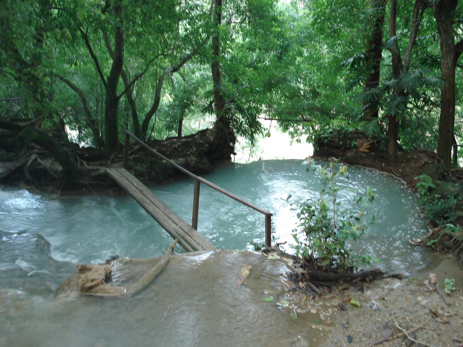 [DSC05858.JPG]