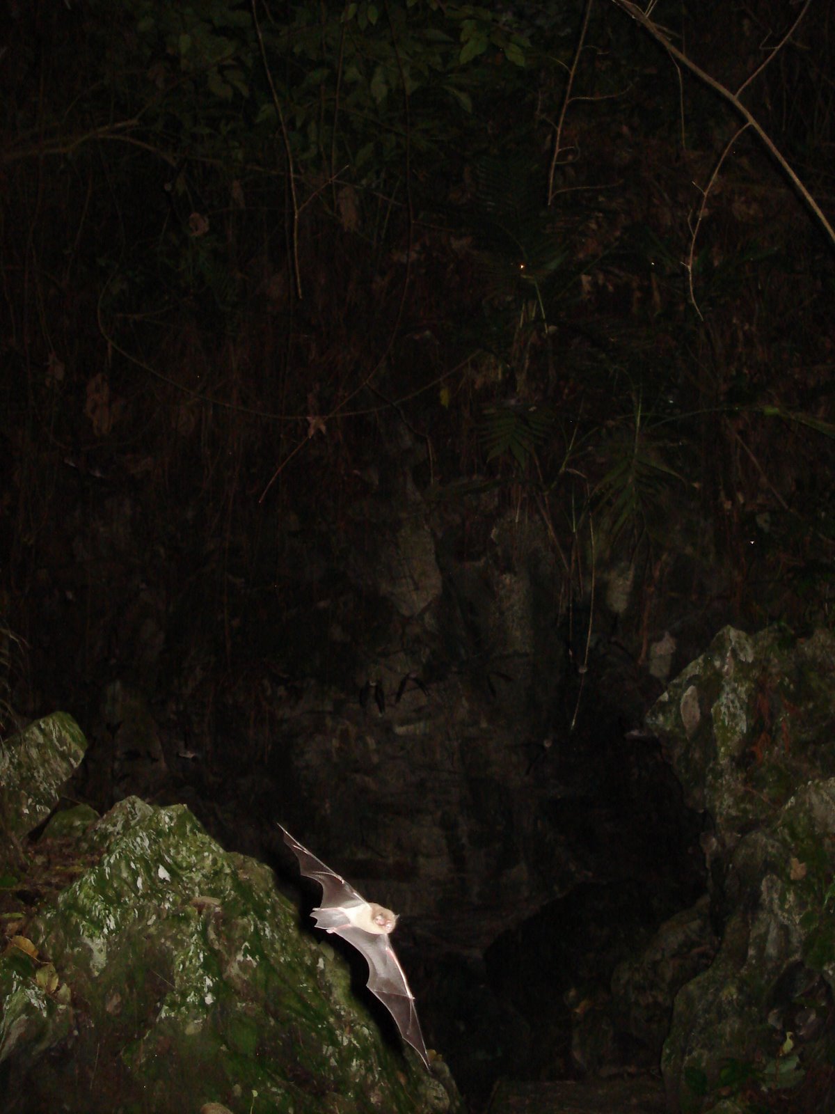 [DSC05877.JPG]