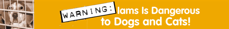 [IamsWarning_banner.gif]