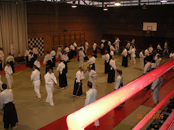 Primer curso nacional de Aikido en Daganzo