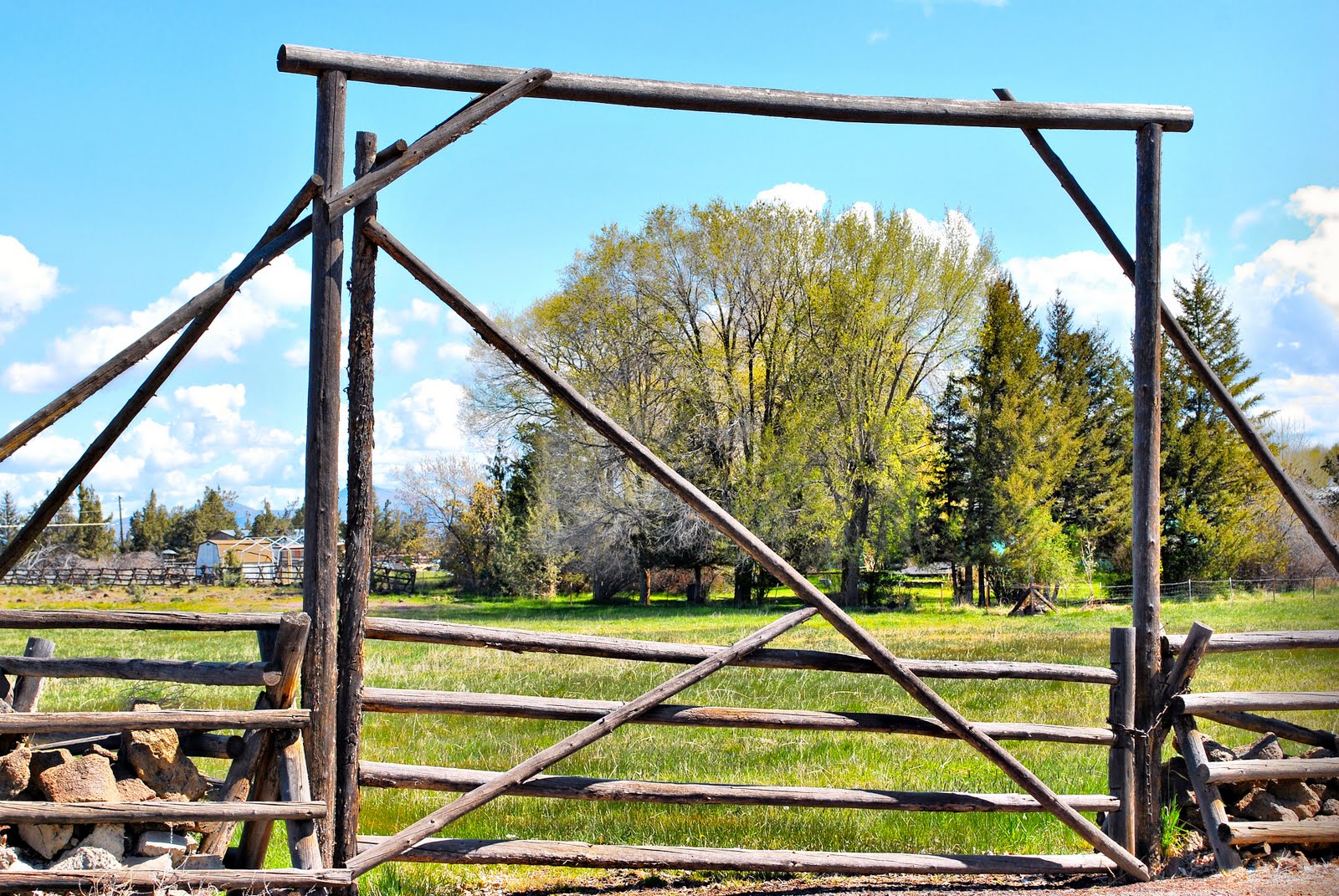 Trees framed by gate. Near Redmond, Oregon; May, 2010.