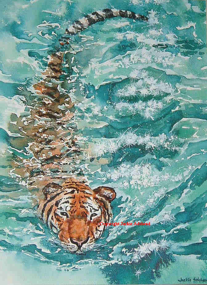 [Sea+for+cat+(3).jpg]