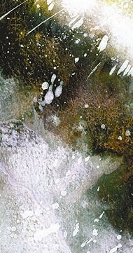[Spitting+Mad(PS)+(2).jpg]