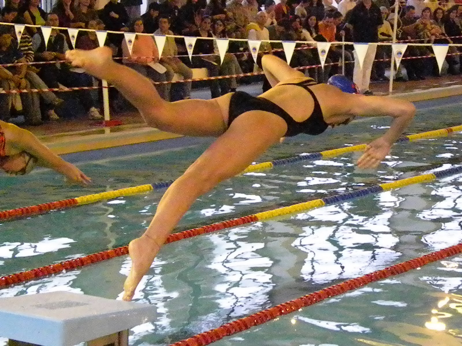 [Fest+Jan+Inf+2010+2082.JPG]