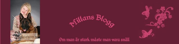 Millanbloggen!!!!