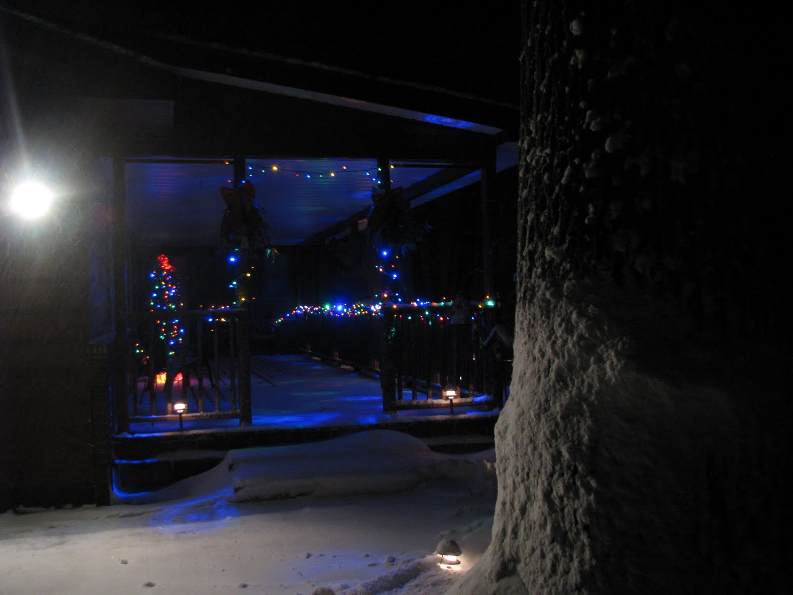 WHERE THE ROAD TAKES US: Christmas Lights