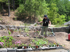 Watering the Garden