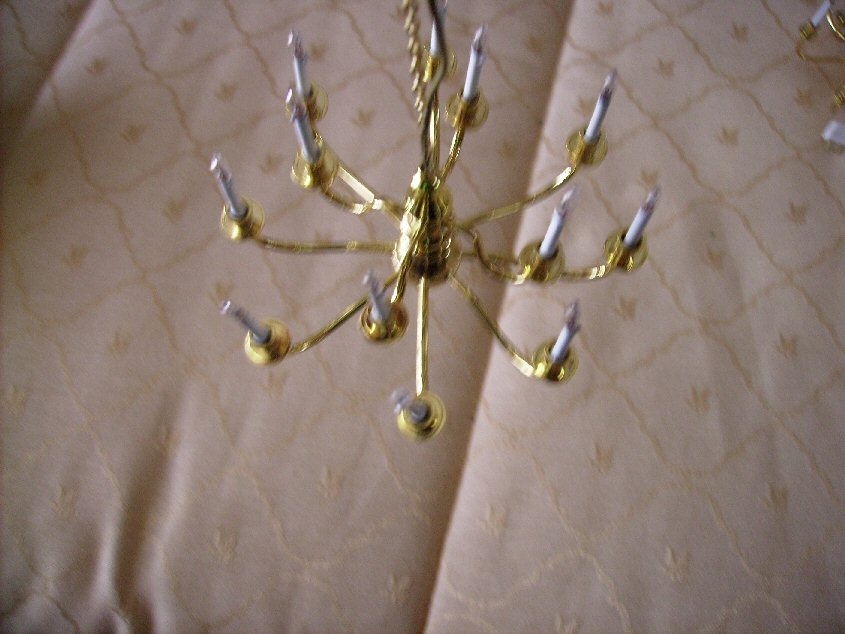 [PICT0883.JPG]