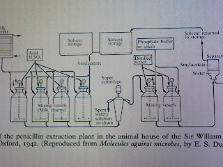 Diagram Of Penicillin