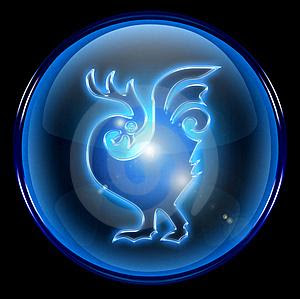 MY SHIO AYAM