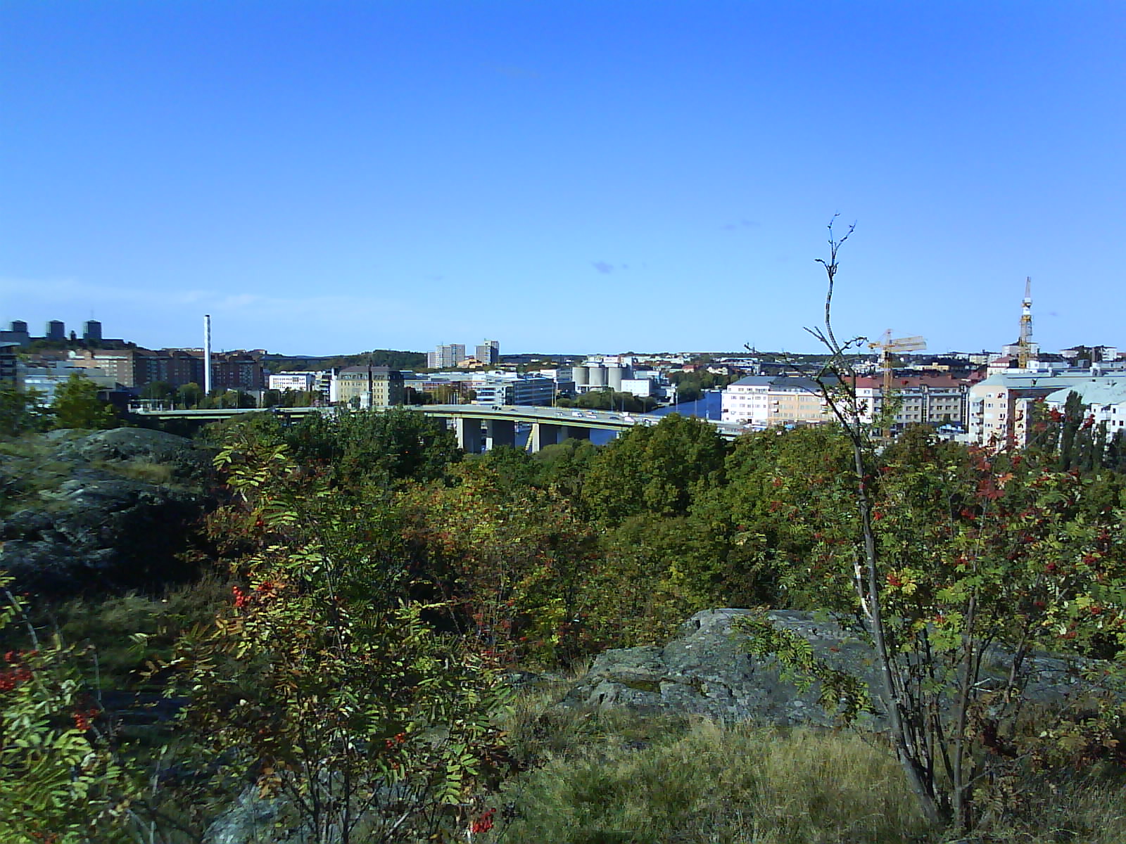 [DSC00553.JPG]