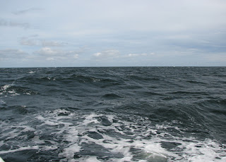 aallokkoa 1